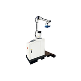Palletizer and film wrapper