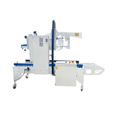 Case packer